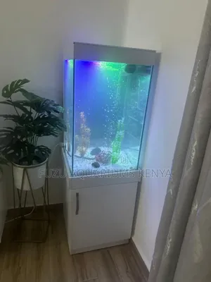 Tall Aquarium Fish Tank With Storage Cabinet