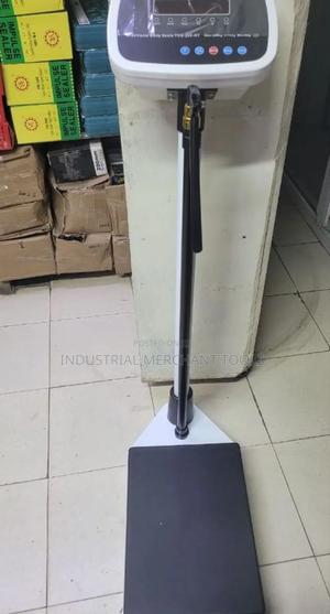 Height and Weight Platform Scale - main view