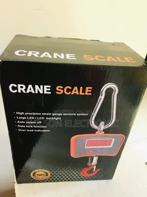 Crane Scale 500KG