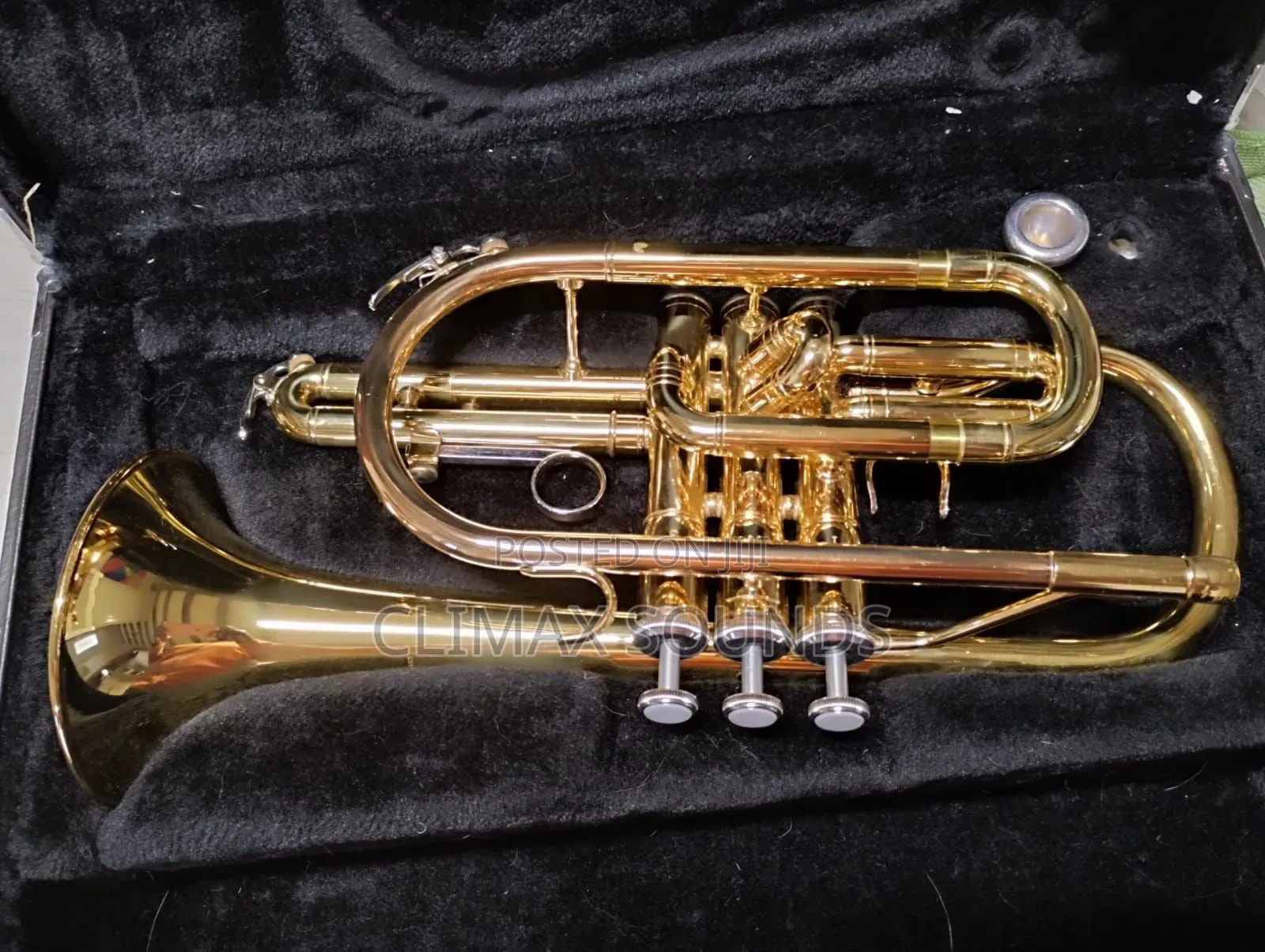 Cornet Yamaha's