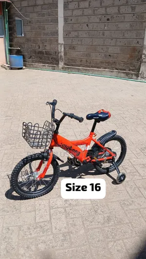 Bike Size 16