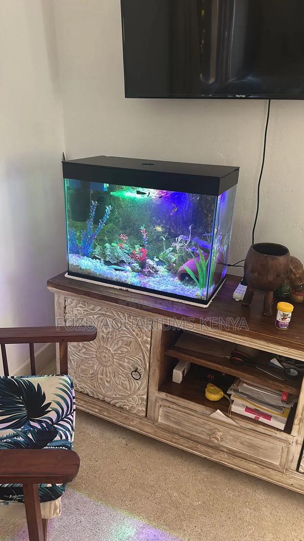 Desktop Aquarium - Complete With All Accessories