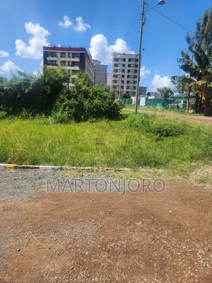 Commercial Plots in Ruiru OJ