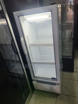 Premium 200litres Display Fridge