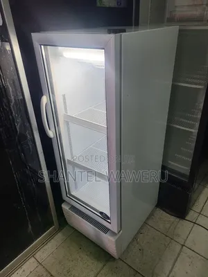 Premium 200litres Display Fridge