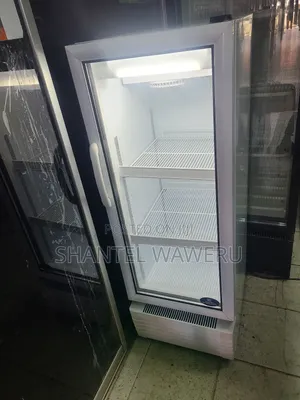 Premium 200litres Display Fridge