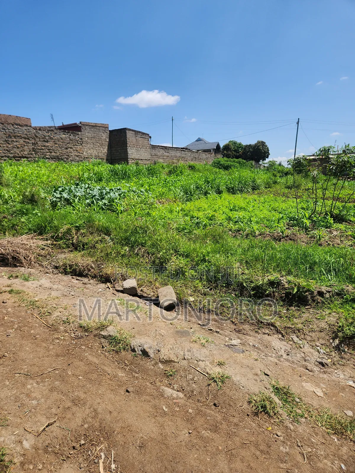 Affordable Plots in Witeithie