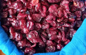 Dried Cranberries 1 Kg