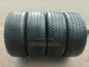 255/55r19 General-Grabber
