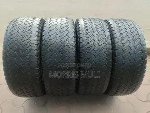 255/55r19 General-Grabber