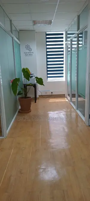 Double the Style Zebra Roller Window Blinds