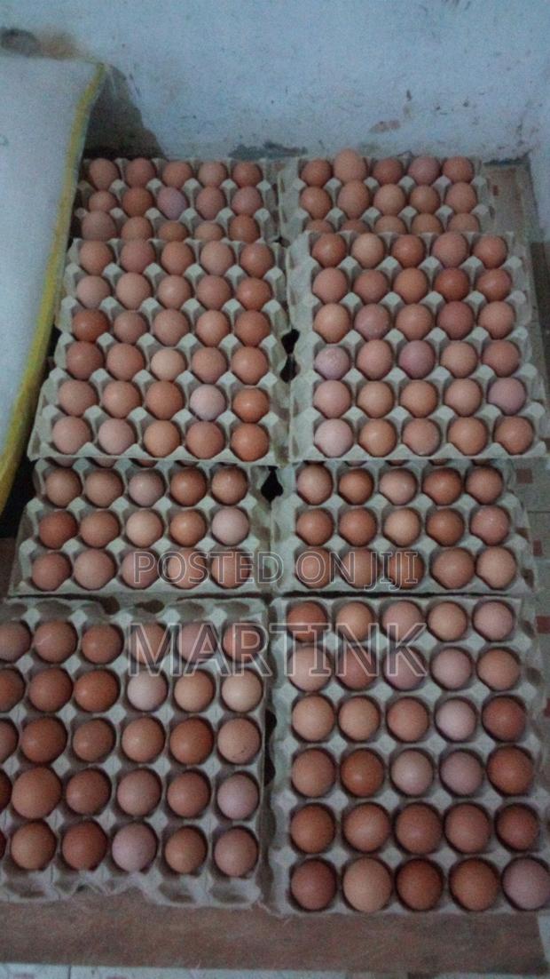 Farm Fresh Eggs Yellow Yolk Large - thumbnail 2