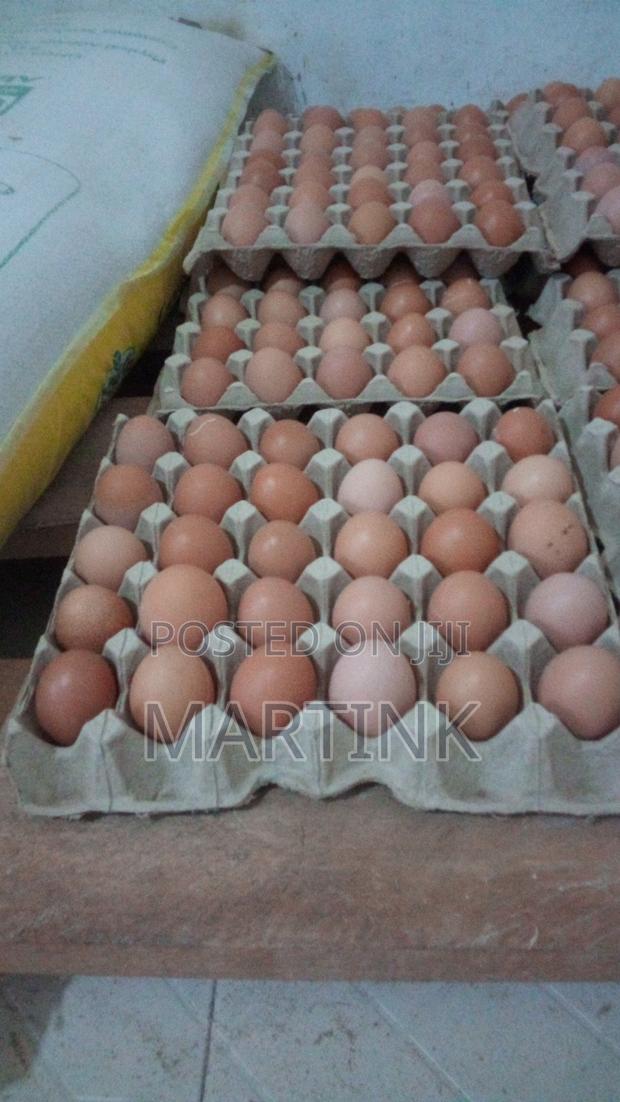 Farm Fresh Eggs Yellow Yolk Large - thumbnail 3