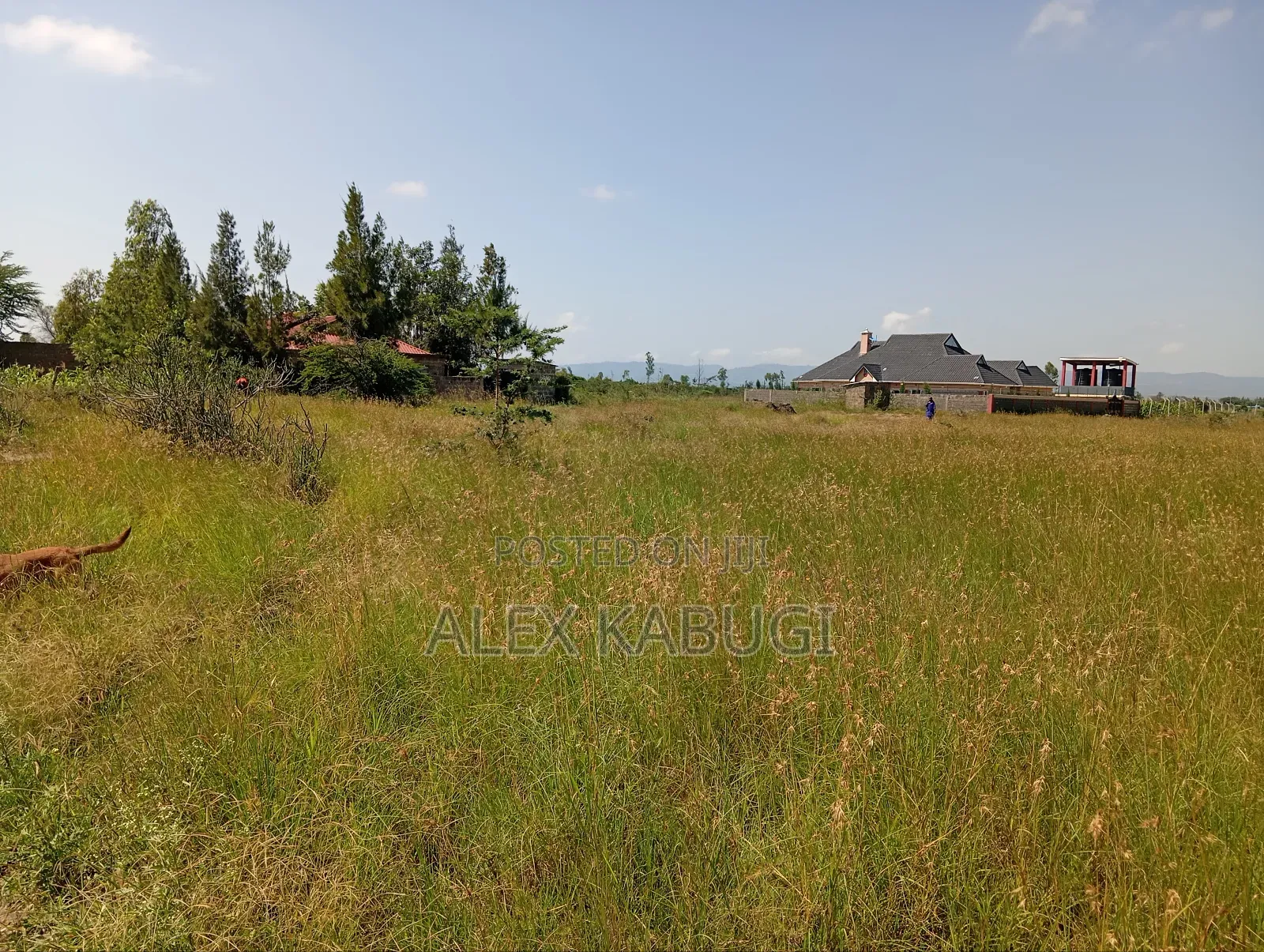 1 Acre for Sale Kamulu