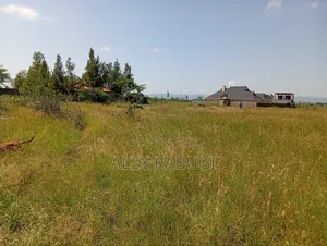 1 Acre for Sale Kamulu