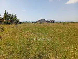 1 Acre for Sale Kamulu