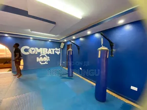 Large Punching Bags (50kgs)