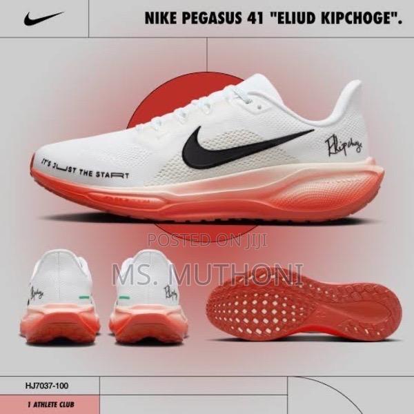 Nike Pegasus Eliud Kipchoge Size 40-45 - main view