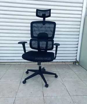 Office Seats; High-Back Orthopedic Executive Office Chair