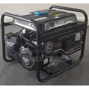 1000W Generator