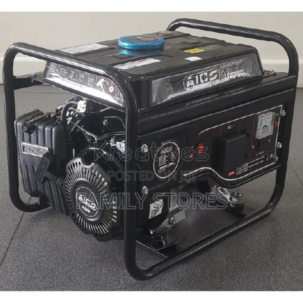 1000W Generator