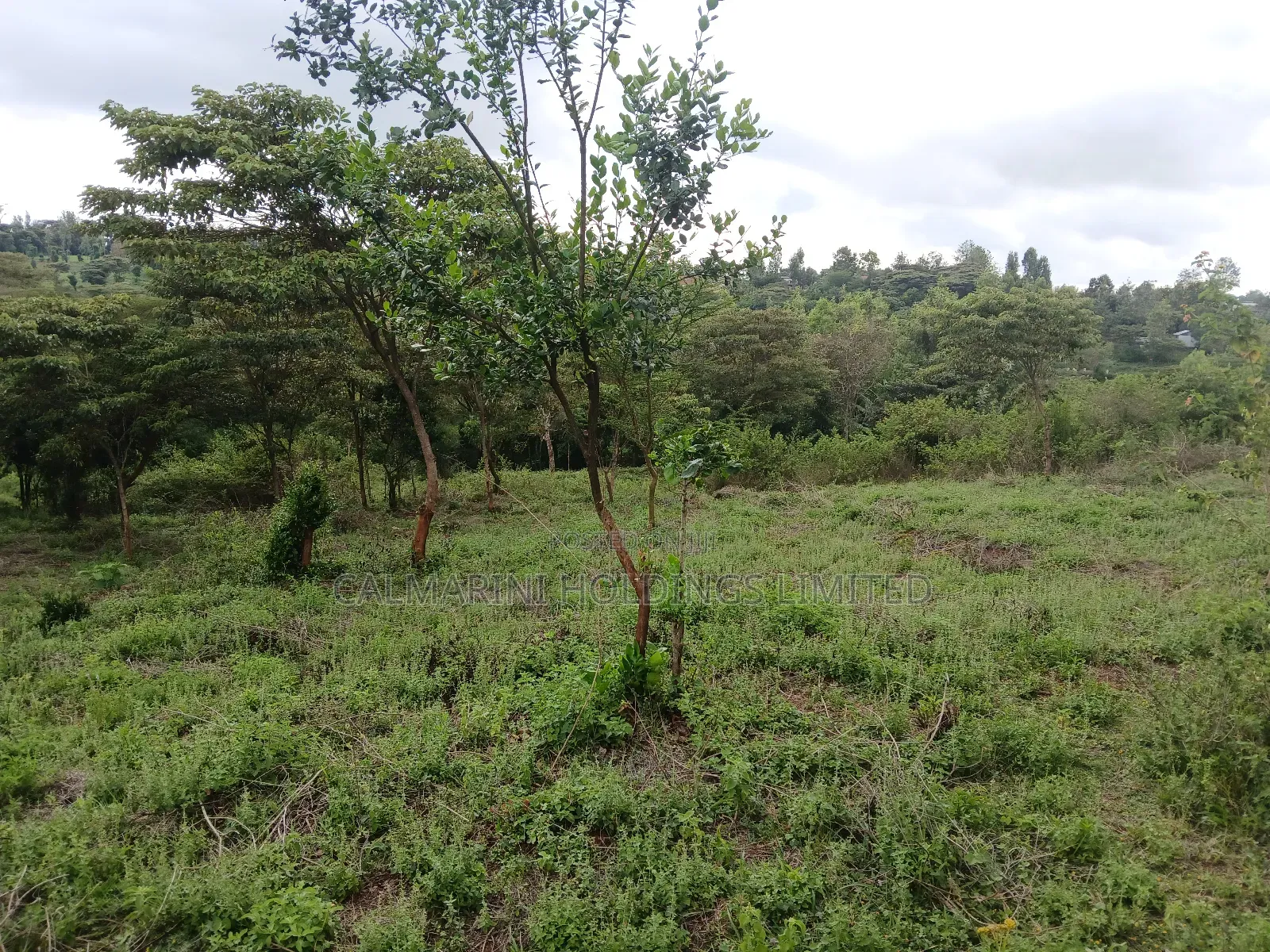 Prime Redsoil Half Acre Plot at Karen View, Matasia