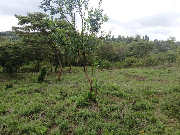 Prime Redsoil Half Acre Plot at Karen View, Matasia - thumbnail 2
