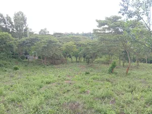 Prime Redsoil Half Acre Plot at Karen View, Matasia