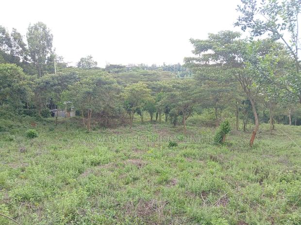 Prime Redsoil Half Acre Plot at Karen View, Matasia - thumbnail 3