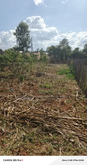 1/4 Plot Maili Nne With Title Touching Feeder Tarmac