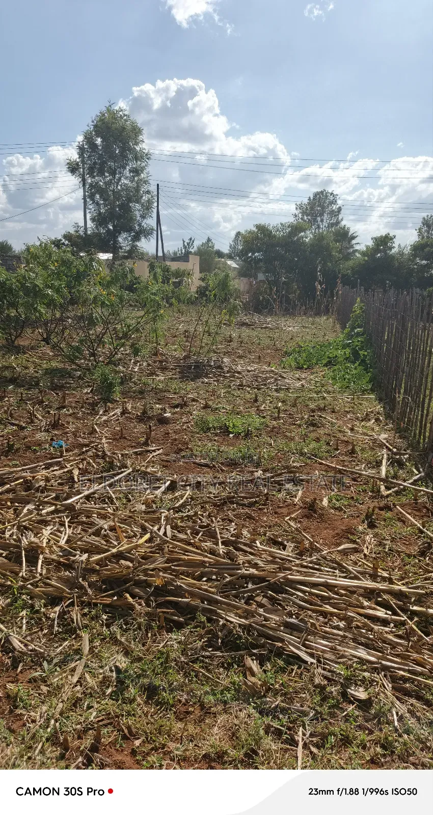 1/4 Plot Maili Nne With Title Touching Feeder Tarmac