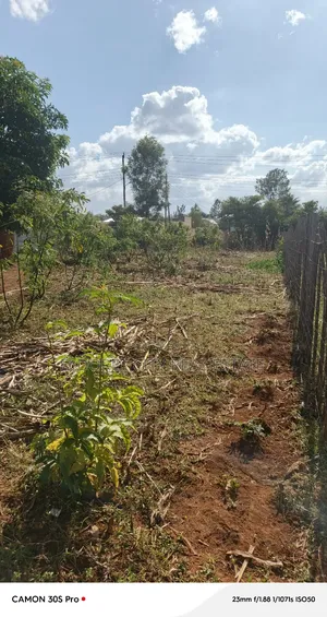 1/4 Plot Maili Nne With Title Touching Feeder Tarmac