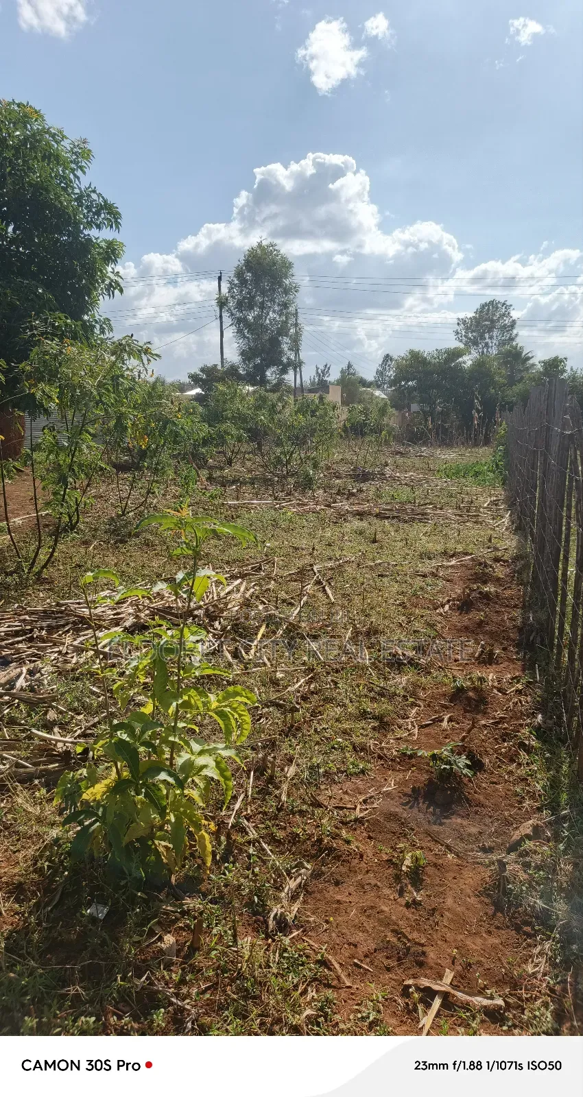 1/4 Plot Maili Nne With Title Touching Feeder Tarmac
