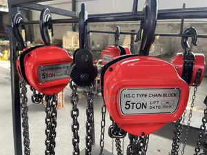 Heavyduty 5tonne 3m Chainblock/Industrial Chain Block