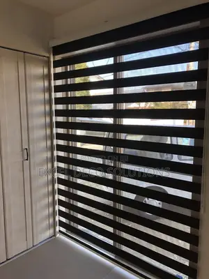 Dressing Room Window Covering Zebra Roller Blinds