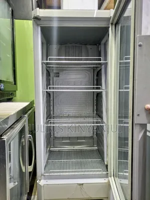 Medium 300L Commercial Display
