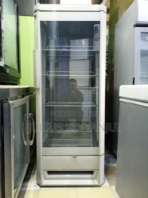 Medium 300L Commercial Display