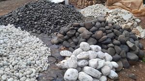Riverbed Stones Variety of Sizes and Colour White and Black