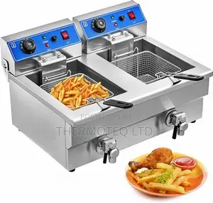 Electric Fryer 12+12L