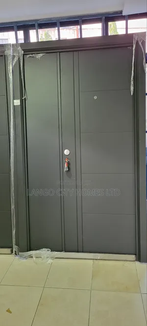 Black Dark Grey Steel Double Door