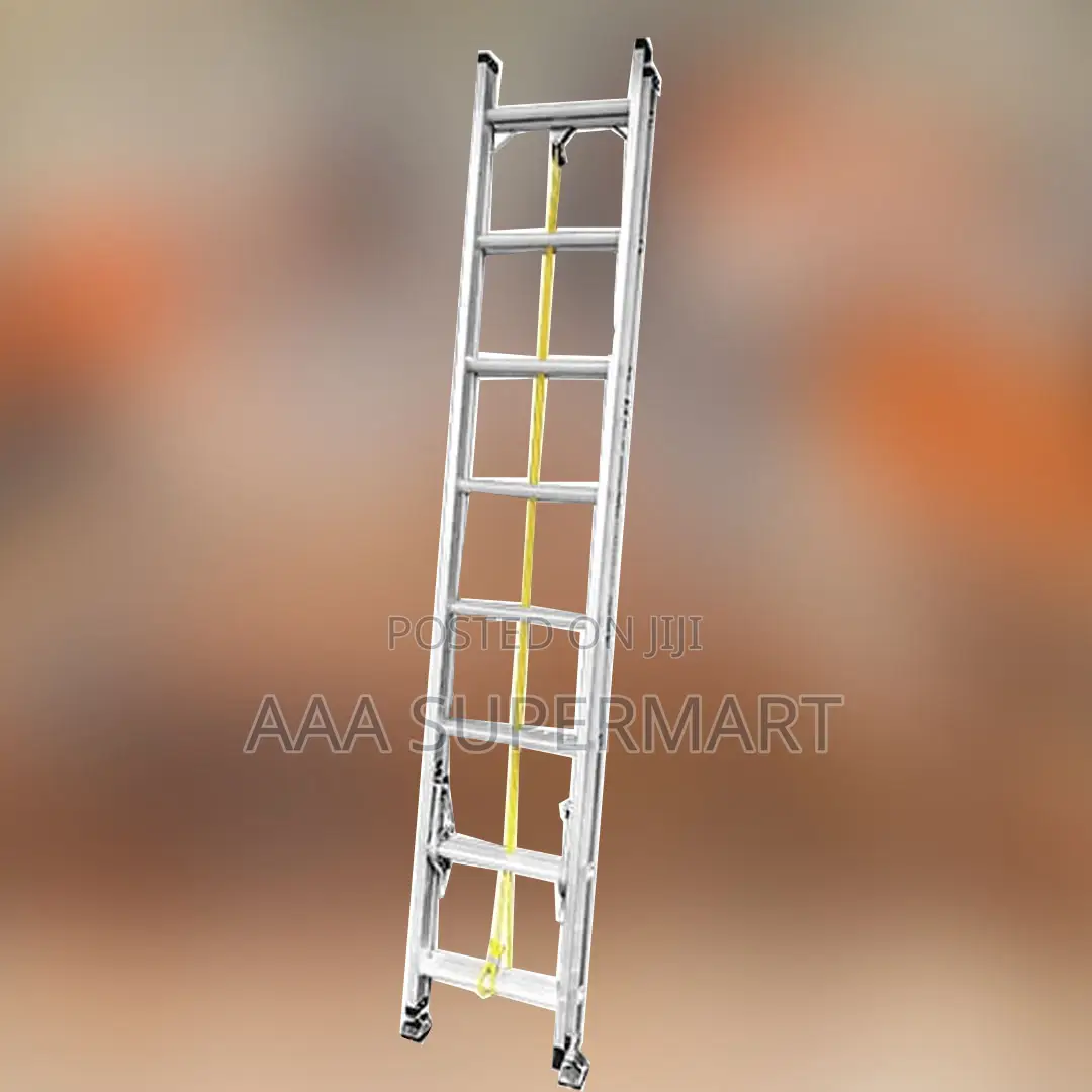Wokin 682308 Extension Ladder, 2X8 Steps (Max Height 4.1M)