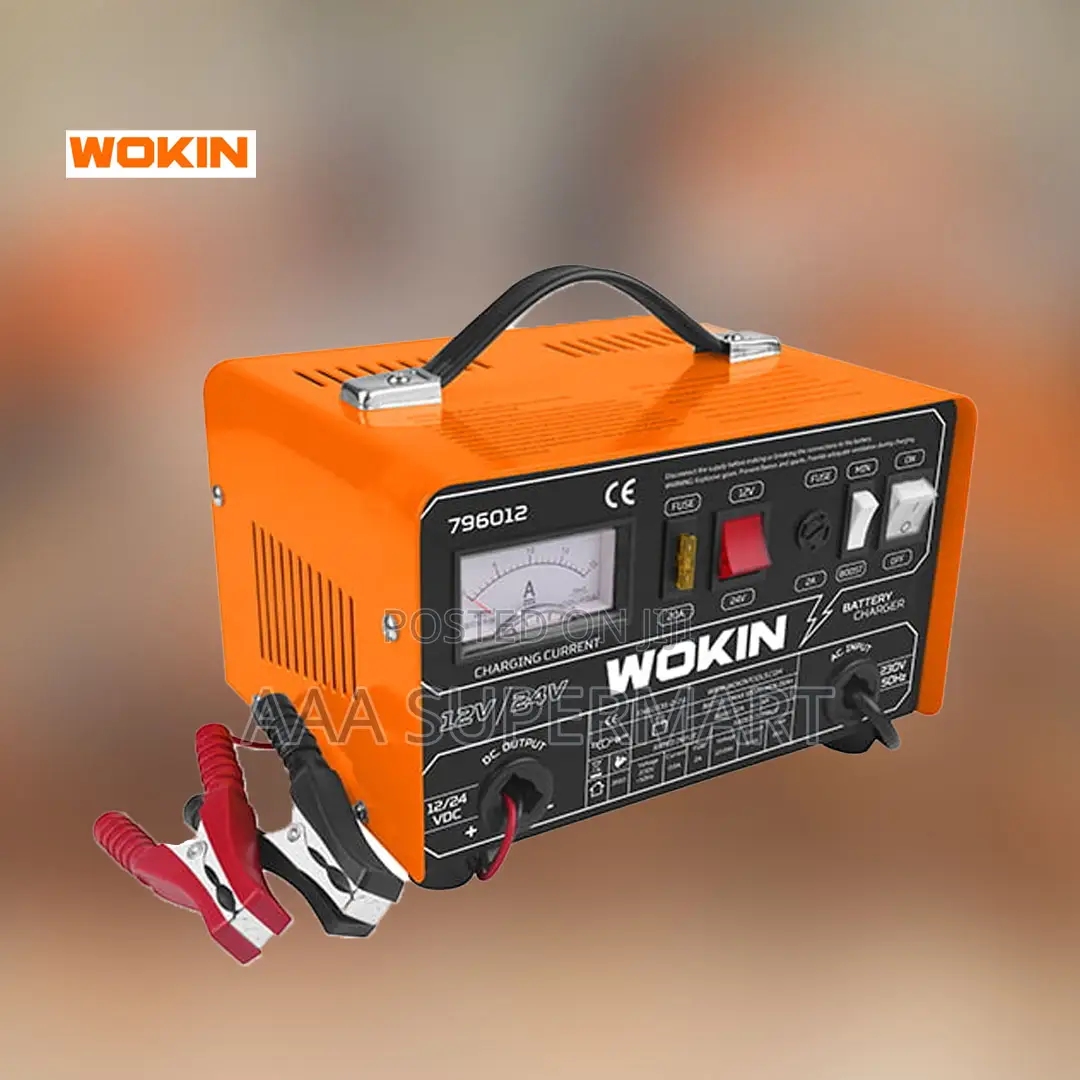 Wokin 796012 Battery Charger 12v/24v