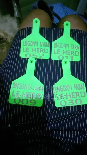 Cow /Sheep/ Goat Personalized Label Ear Tags