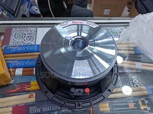 Derwel 10AH26 10 Inch Speaker