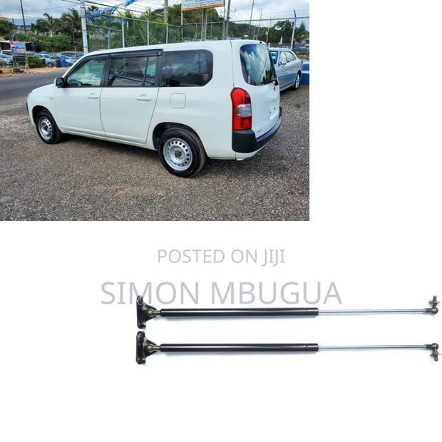 Toyota Probox Boot Shocks