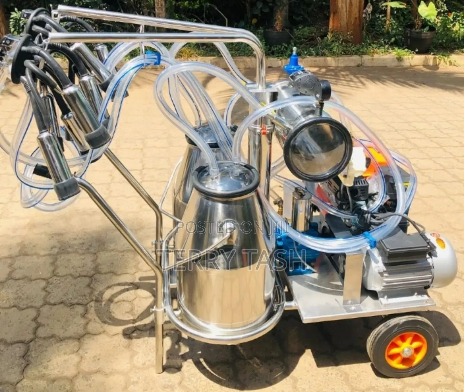 Cow Milking Machines