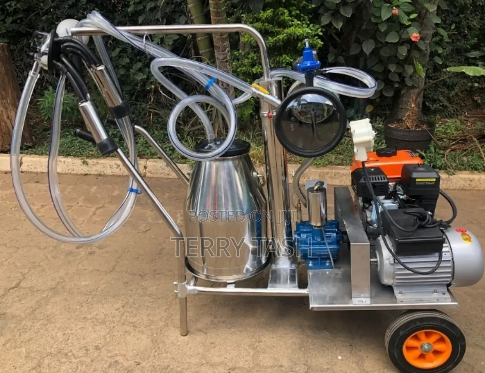 Cow Milking Machines