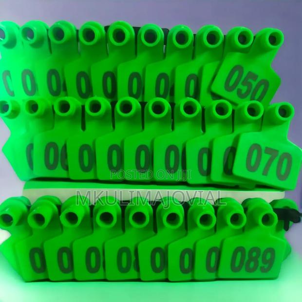 Cattle Ear Tags, Medium Plastic Livestock Ear Tags