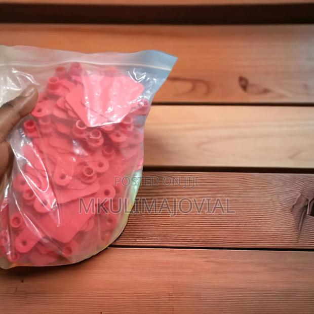 Red Blank/Plain Cattle Ear Tags