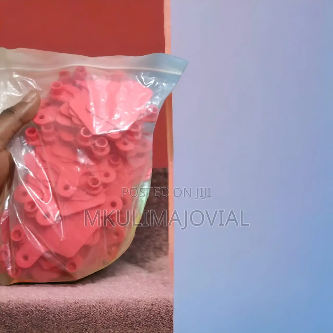 Livestock Ear Tags Big Blank 100PCS Identification